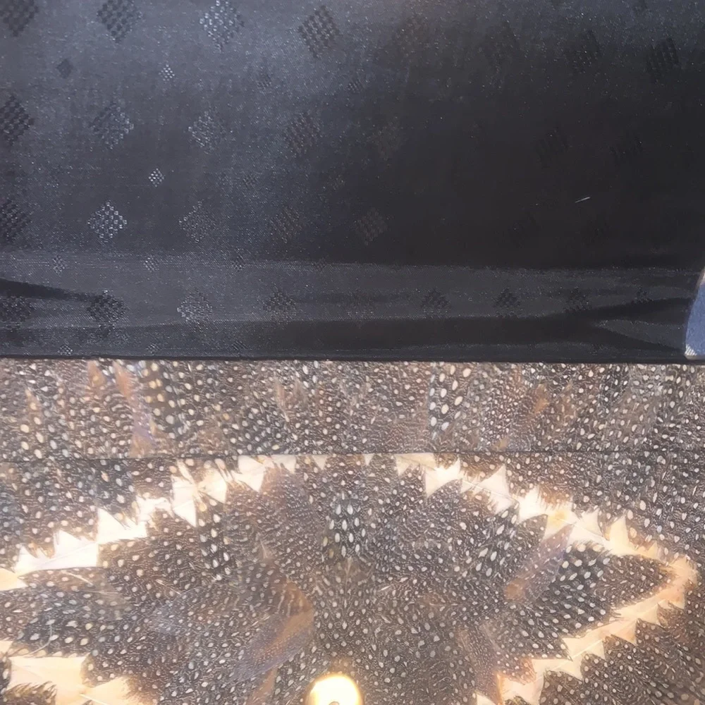 FRIDAY SALE~•= PEACOCK Feather clutch - Picture 5 of 8